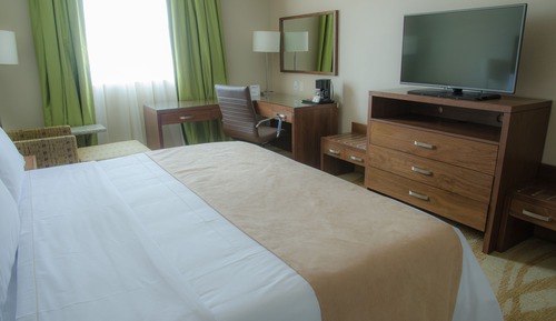 Suite, 1 King Bed