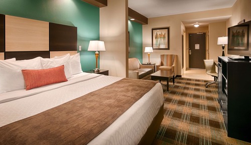 Suite, 1 King Bed, Non Smoking (Shower Only;with Sofabed)