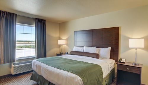 Room, 1 King Bed, Non Smoking