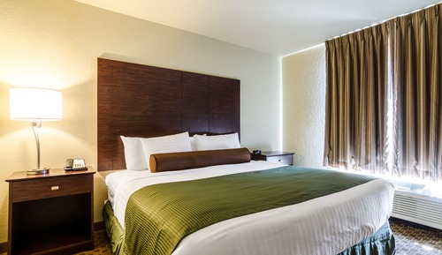 Suite, King Bed with Sofa Bed, Accessible Roll in Shower, Non Smoking