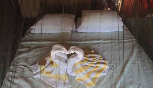 Room, 1 Double Bed, Shared Bathroom, Ocean View