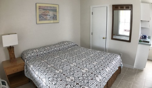 Room, 1 King Bed, Non Smoking, Kitchenette