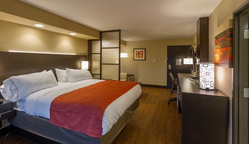 Suite, 1 King Bed with Sofa bed