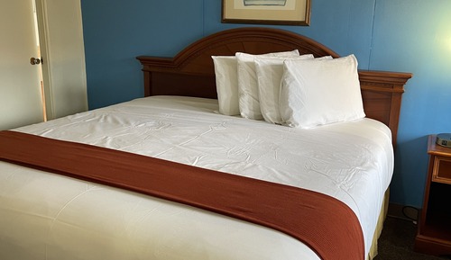 Room, 1 King Bed