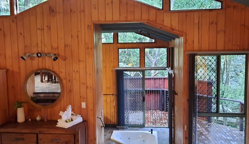 Dreamtime: Rainforest Treehouse