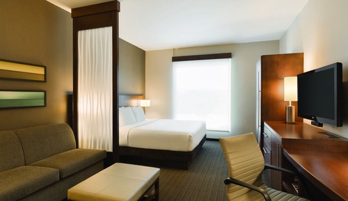 Room, 1 King Bed with Sofa bed