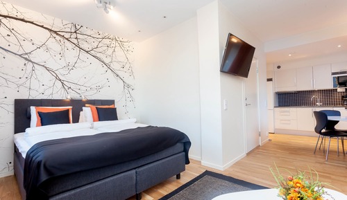 Superior Apartment