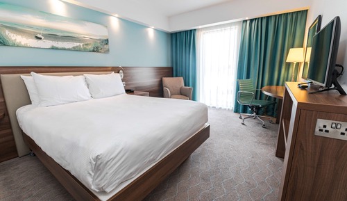 Room, 1 Queen Bed