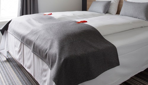Double Room, 1 Queen Bed