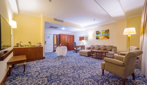 Business Room, 1 King Bed, Non Smoking (Diplomatic)