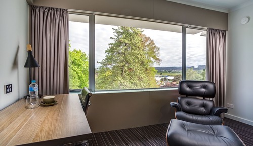 Park View Room, 1 King Bed