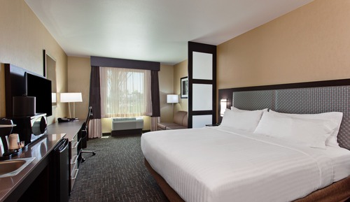 Suite, 1 King Bed with Sofa bed (Extra Living Area)