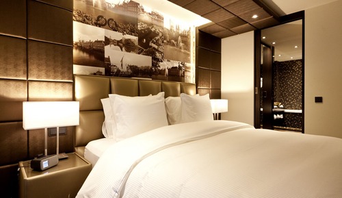 Deluxe Room (Hofvijver)