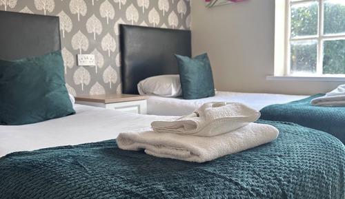 Basic Double or Twin Room