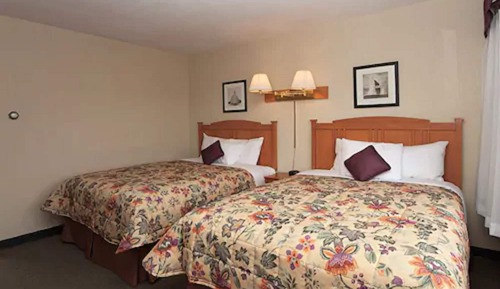 Standard Double Room, 2 Queen Beds