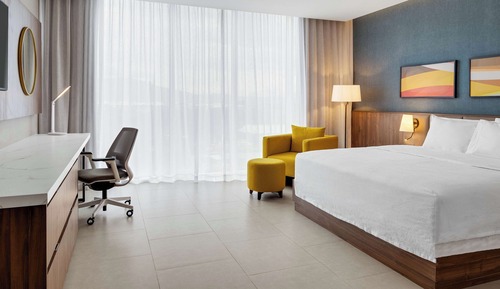 Room, 1 King Bed, Accessible, View (Roll-In Shower)