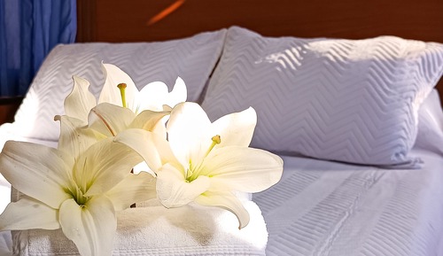Business Double Room