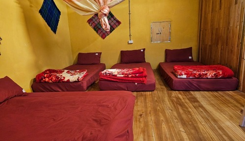 Basic Shared Dormitory