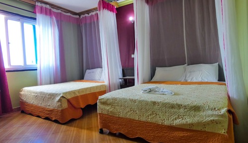Family Double or Twin Room
