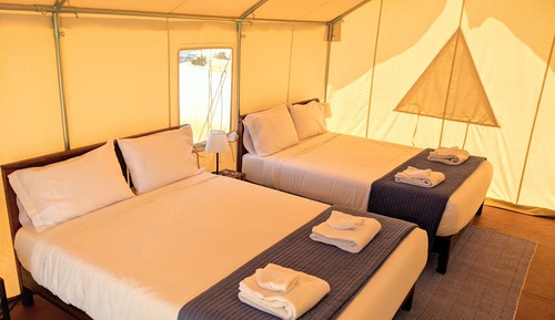 Standard Tent, 2 Queen Beds, Patio, Garden View