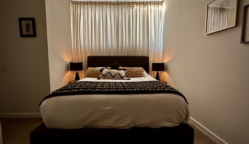 Premium Single Room
