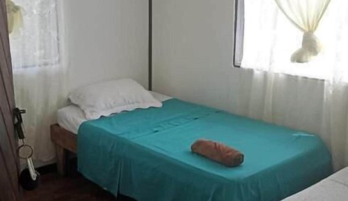 Basic Twin Room