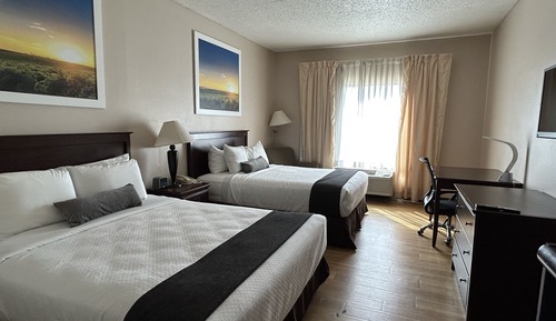 Basic Double Room