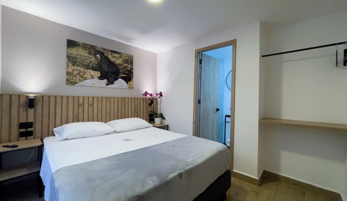 Classic Double Room