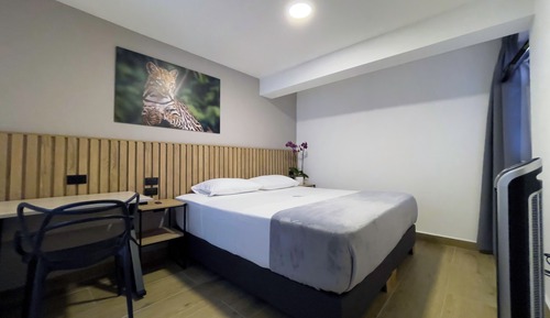 Classic Double Room
