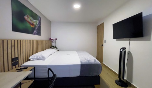 Classic Double Room