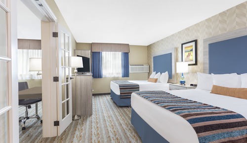 Studio Suite, Multiple Beds