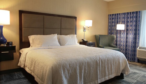 Room, 1 King Bed, Non Smoking, Refrigerator