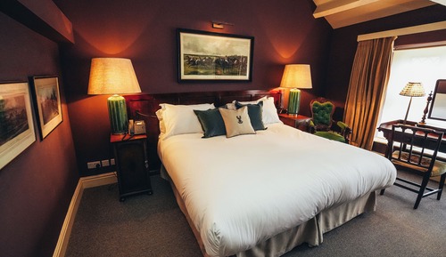 The Suite