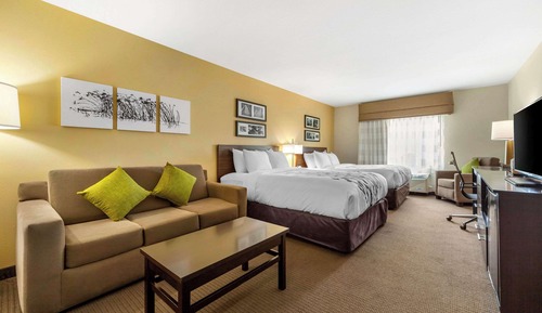 Suite, Multiple Beds