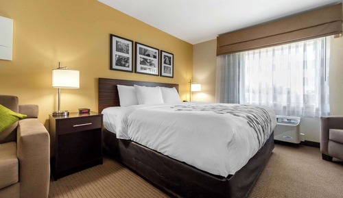Suite, 1 King Bed with Sofa bed, Non Smoking