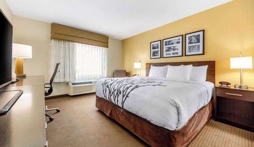 Standard Room, 1 King Bed, Non Smoking