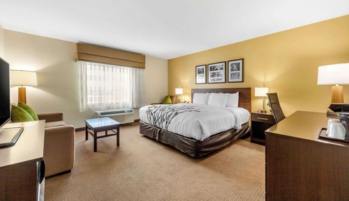 Suite, 1 King Bed with Sofa bed, Accessible, Non Smoking