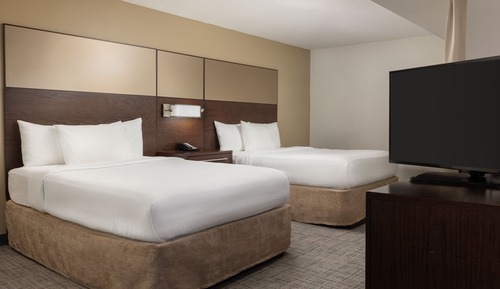 Studio Suite, Multiple Beds, Non Smoking