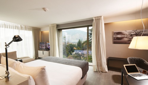Premium Suite