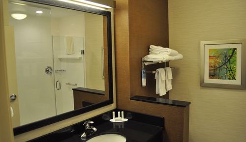 Room, 1 King Bed, Non Smoking (Mobility/Hearing Access, Roll-in Shwr)