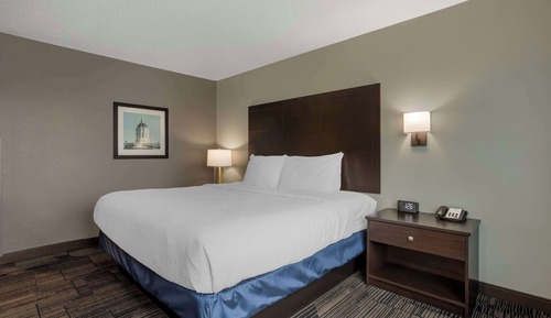 Executive Room, 1 King Bed, Non Smoking, Refrigerator & Microwave