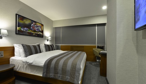 Standard Double or Twin Room