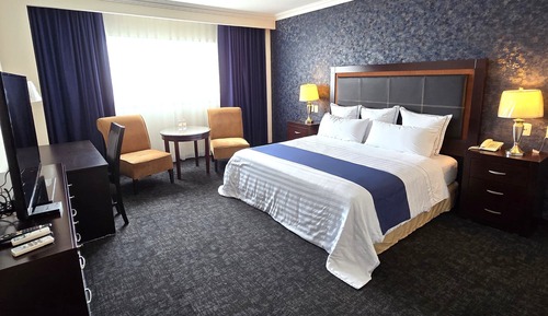 Double Room, 1 King Bed