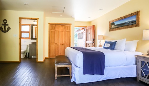 Studio, 1 King Bed, Garden View