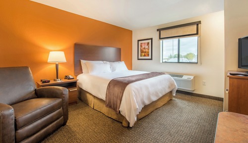 Room, 1 Queen Bed (Roll In Shower)