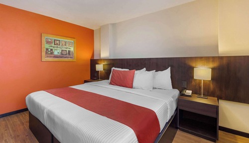 Standard Room, 1 King Bed, Non Smoking