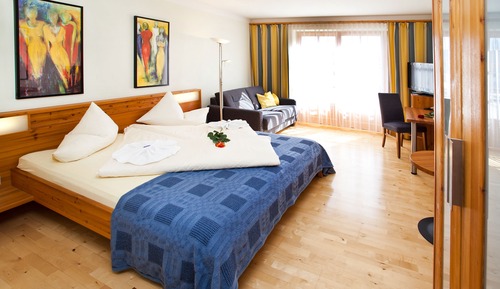 Deluxe Double Room, Allergy Friendly