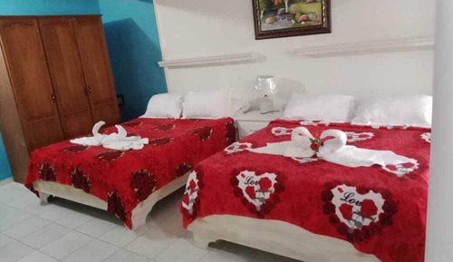 Family Studio Suite