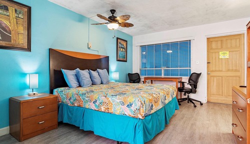 Single Room, 1 King Bed