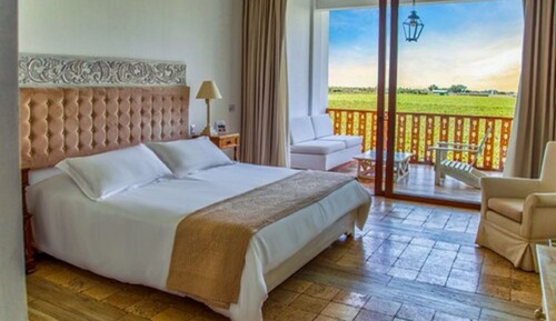 Superior Room, 1 King Bed, Vineyard View